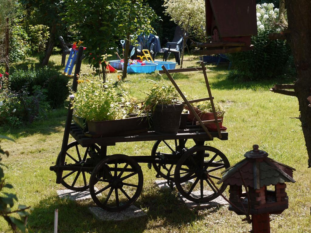 Familien-Ferienwohnung Haustein Konigswalde Экстерьер фото